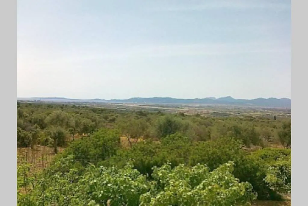 Vila Son Binissalom Palma de Mallorca